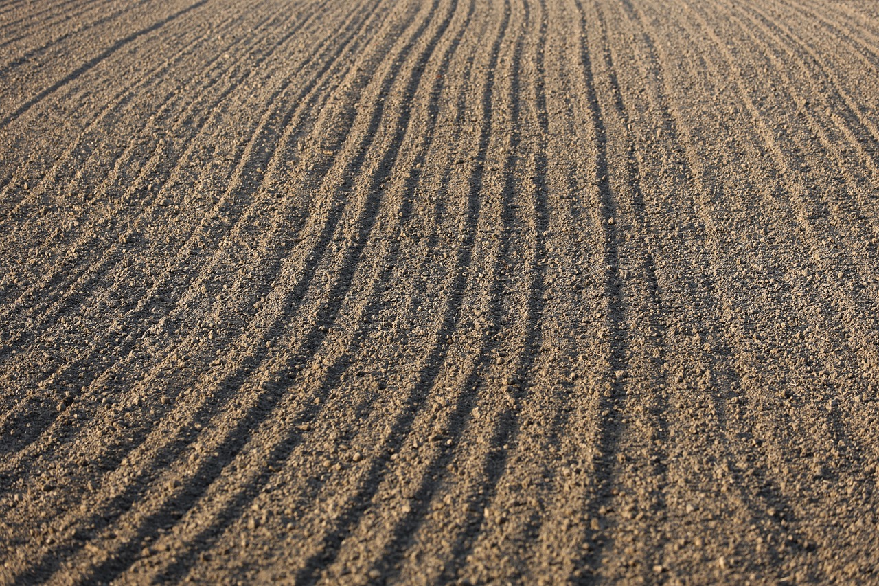 The Importance of Land Conservation in Sustainable Living
